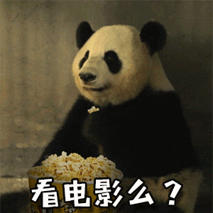 贤贤带崽野培奶爸保驾护航  阿坝的风拂过，贤贤守护着崽崽成长。牟奶爸用脚步丈量深