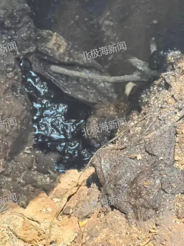 【延安延长石油宝塔采油厂一油井被举报 涉嫌违反油泥不落地规定】近日，有群众向北极