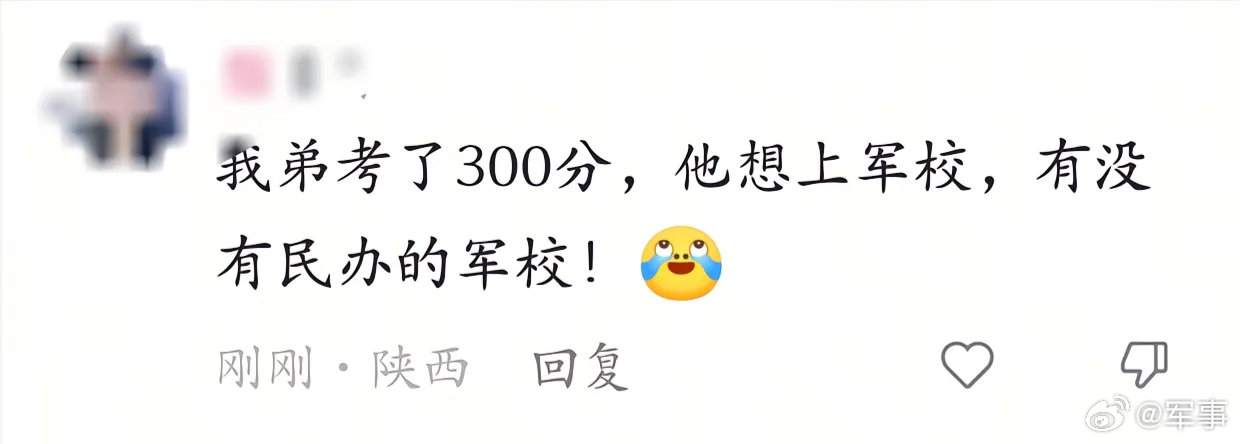 弟弟高考300分，想上军校，姐姐问有没有民办军校！
