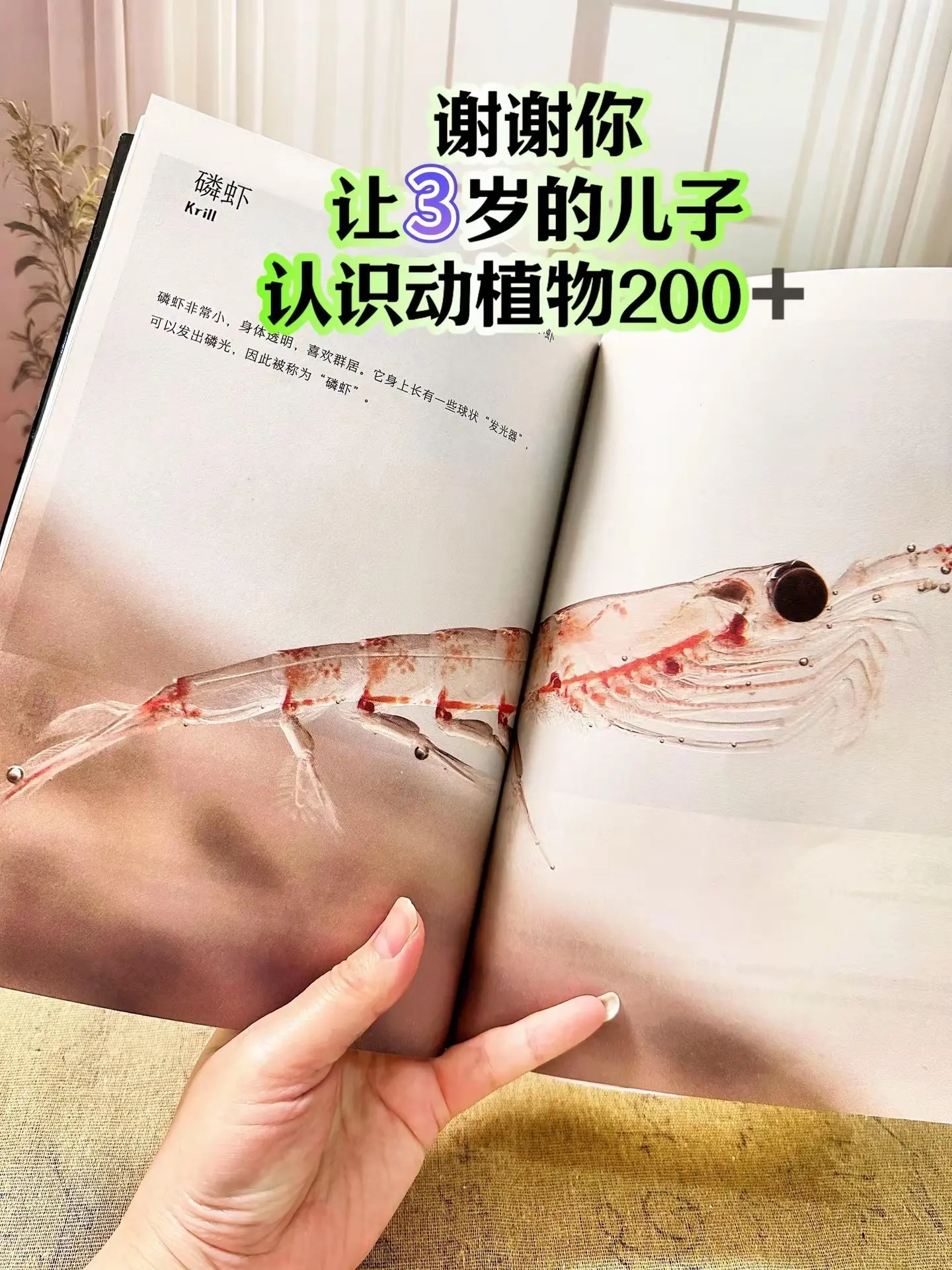 哇！3岁就能看的自然百科书📚。高清大图🔍实拍，视觉冲击力堪比纪录片...