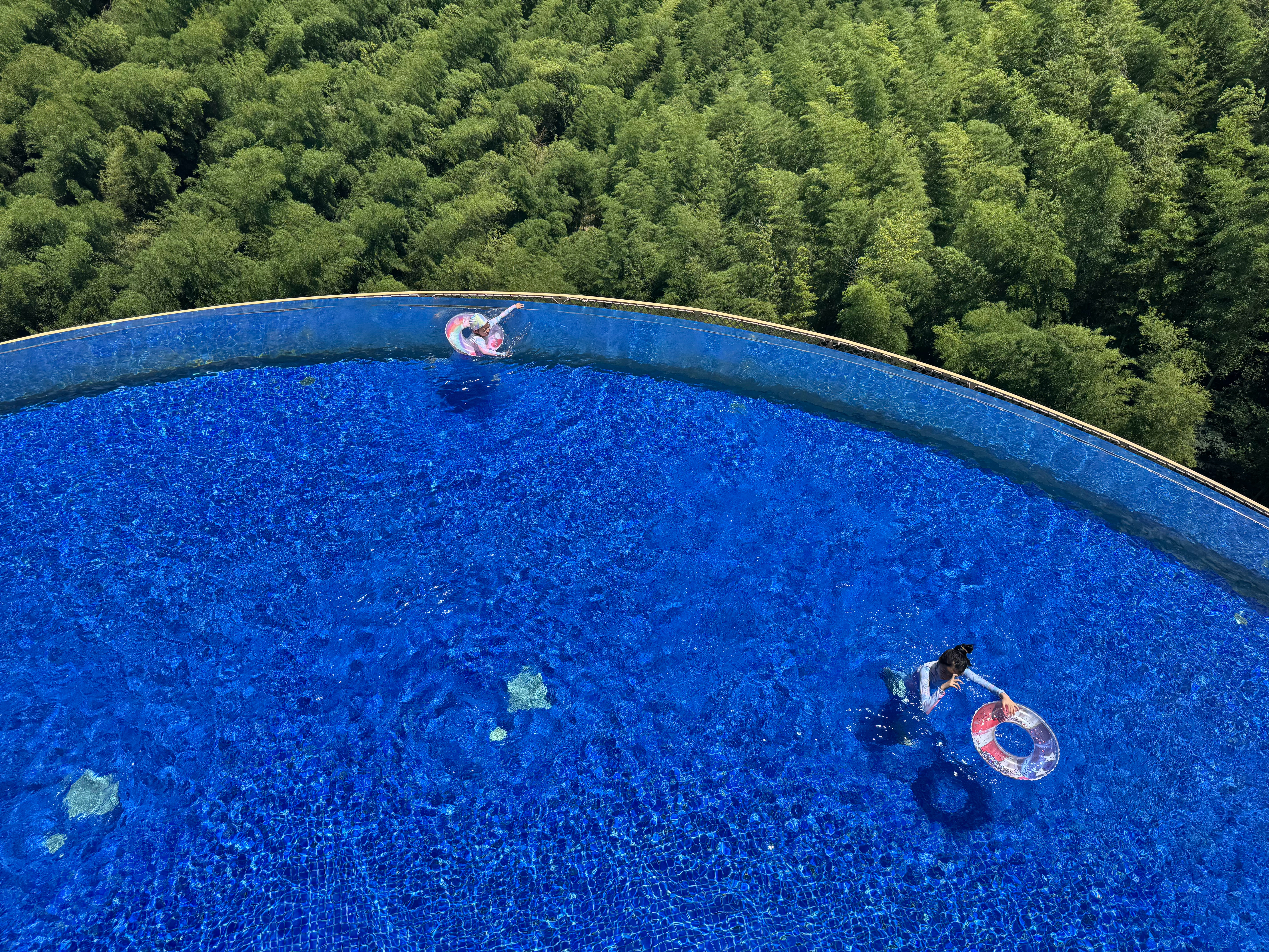 夏天的颜色  ​​​