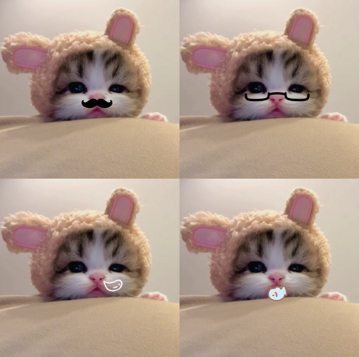 ՞˶･-･˶՞  猫咪 ​​​