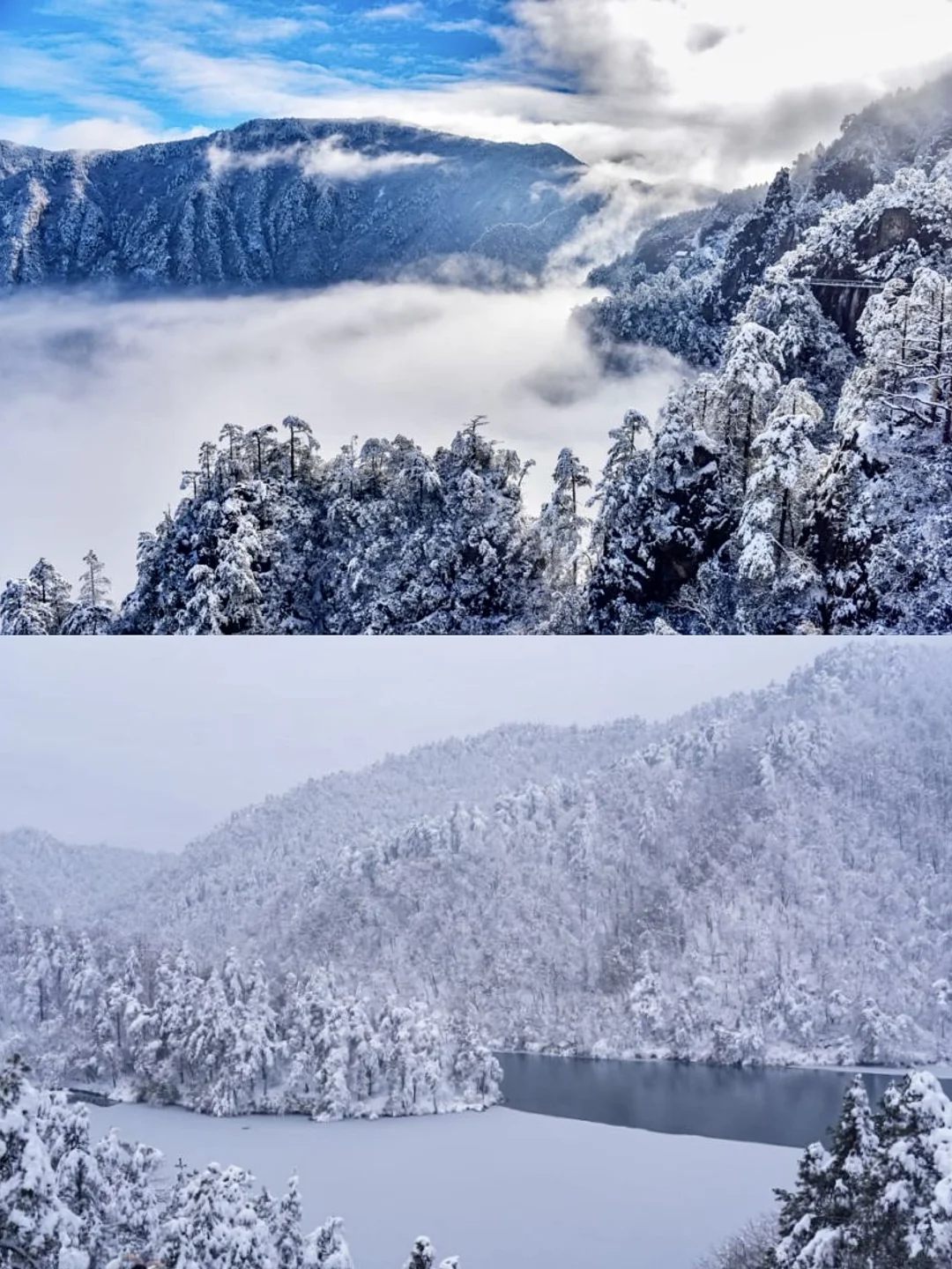 大明山🏔️杭州人自己的高山滑雪🏂
