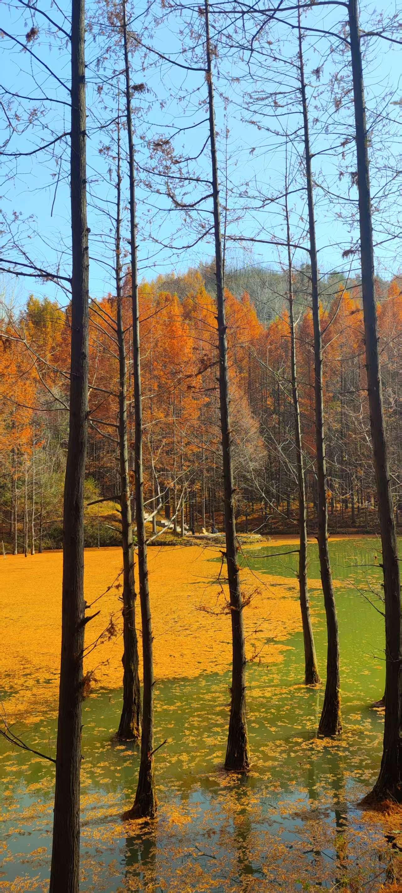 冬日生活打卡季