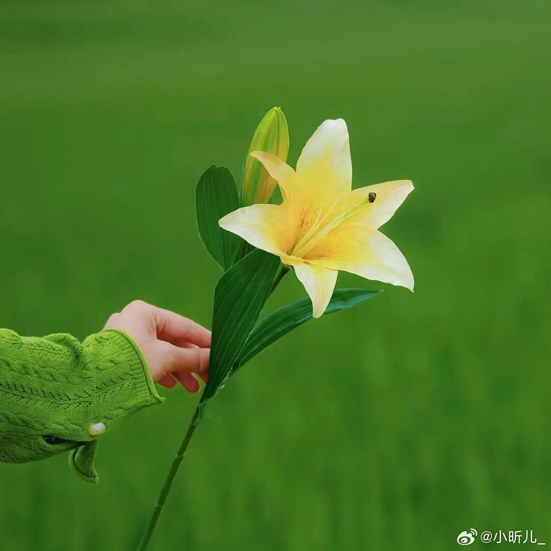 陪伴了，就是拥有过，体验大于一切。未必都有所成，才算真正的活过，得感谢这个世界的