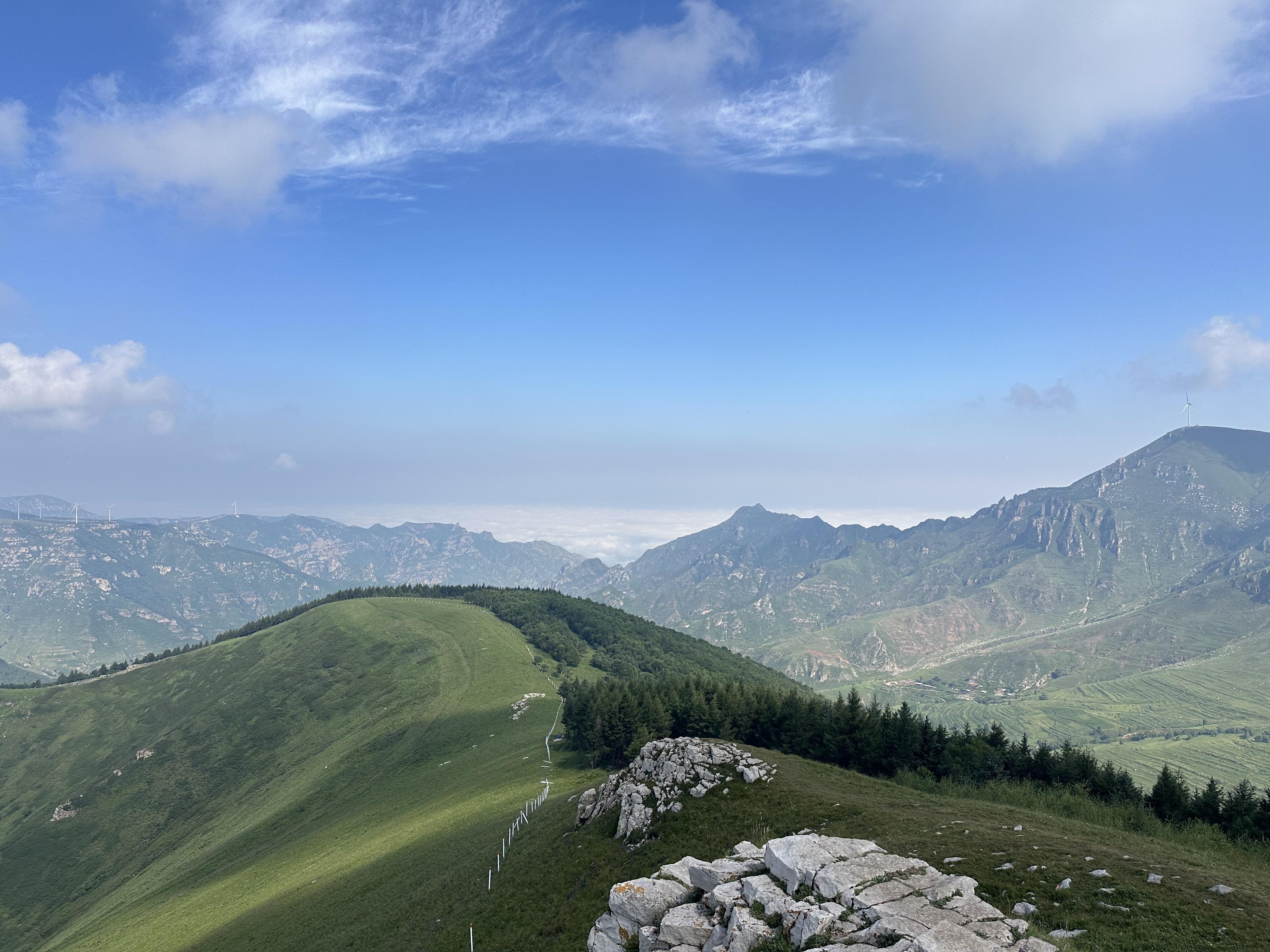 马上要消失的绿色