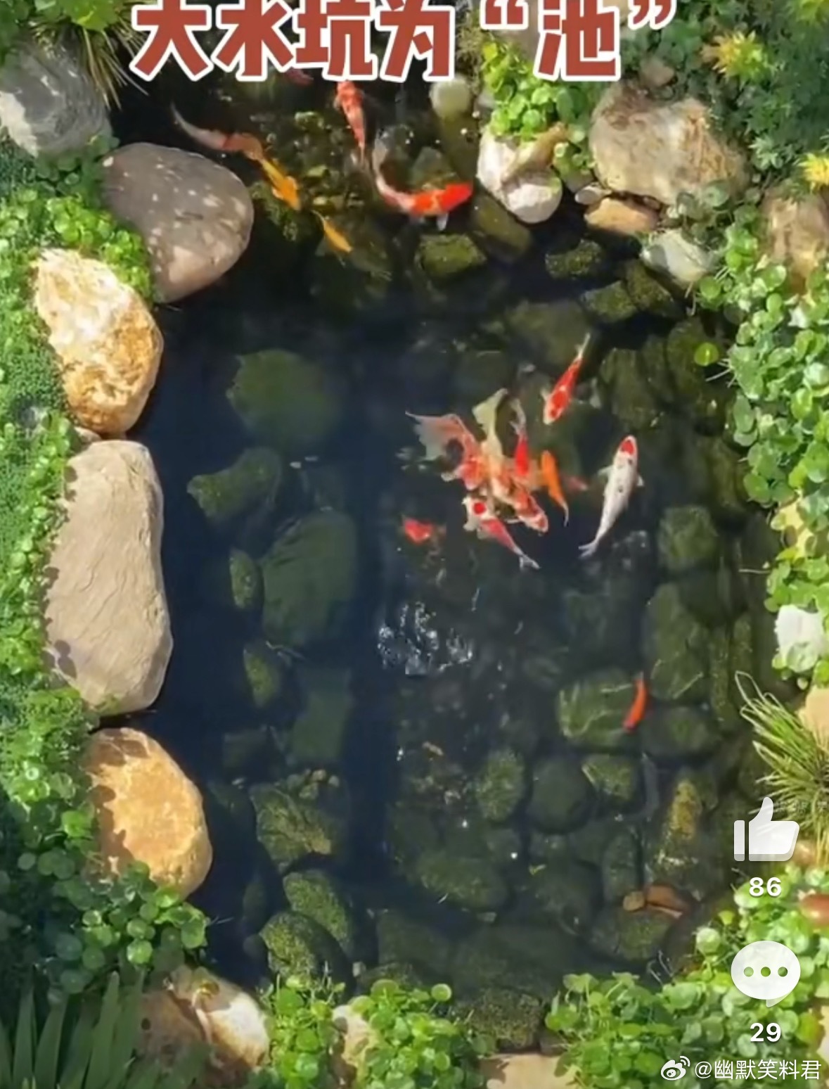 储殷揭秘瓶装水单位刺客关于水的知识你知道吗？瓶装水标注乱象需统一标注单位 ​​​