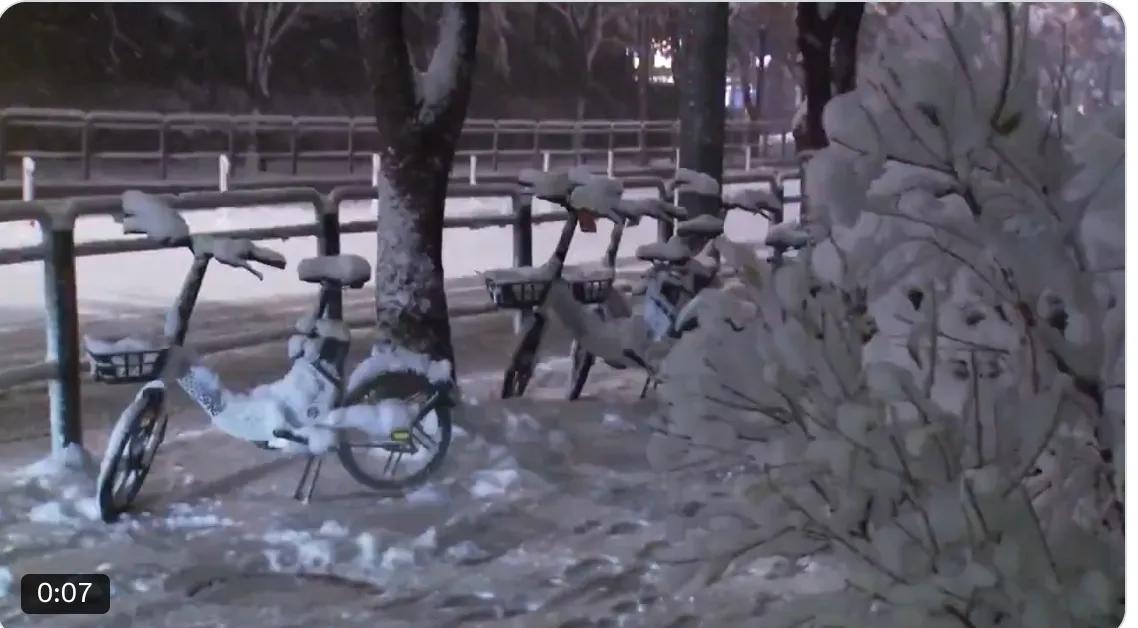 首尔暴雪：创纪录的暴风雪造成严重破坏

韩国首都被20厘米厚的雪覆盖——这是自1