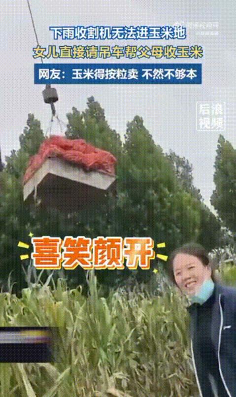 震惊！！！河南一名女子竟然请吊车替父母收玉米，
但由于连续下雨，玉米地积水严重，