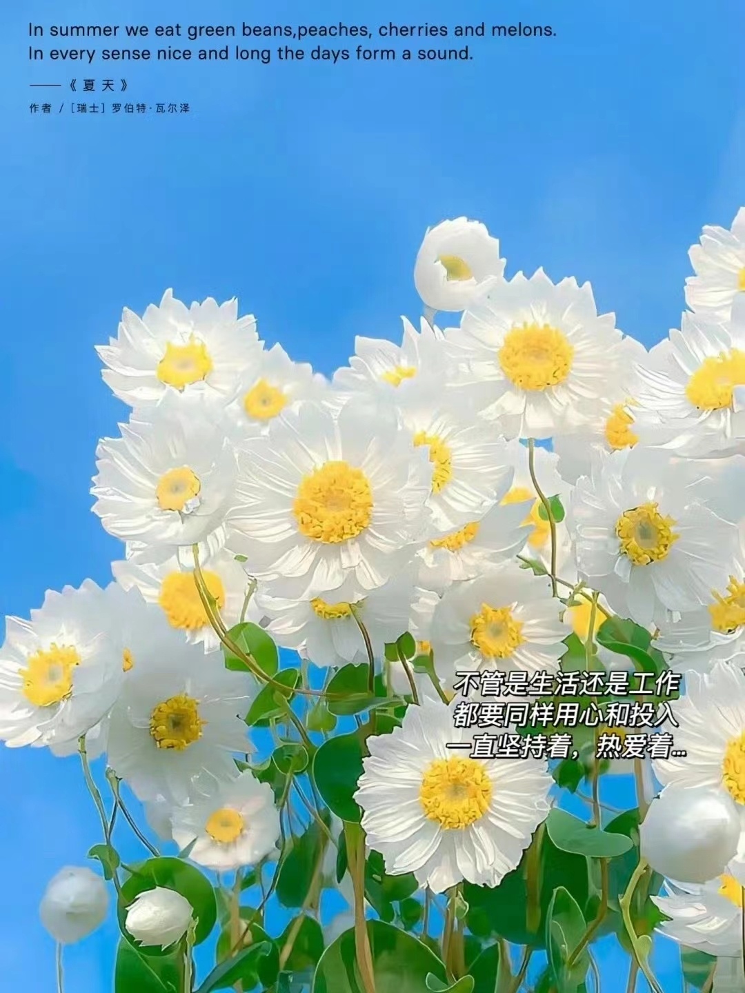 “再贵的东西÷365都会变得便宜；再小的努力×365都会变得伟大；又是一个美好的