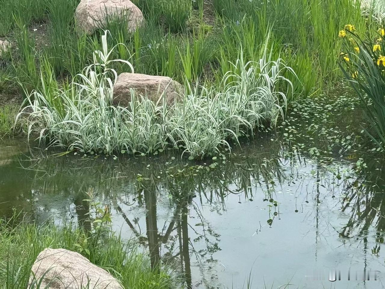 婚姻是一种契约,还是一种感情? 
【小对联】
上：同舟共济；
下：……？