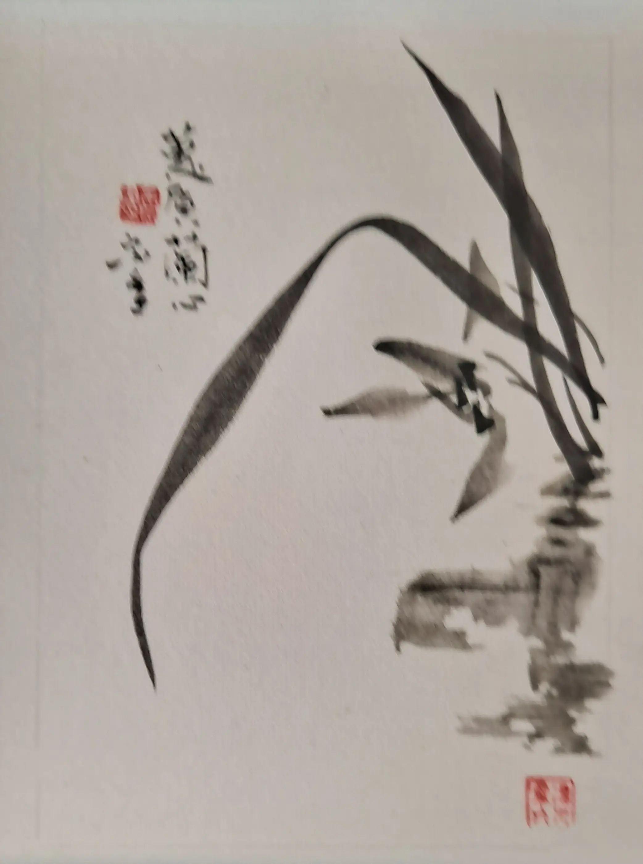 《蕙质兰心》作者：余宗香   越像越好？