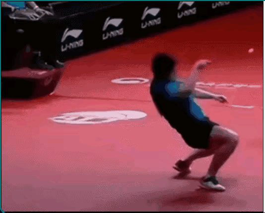 樊振东
这柔韧度已经突破了人体极限！冠军拿的实至名归啊！[赞]