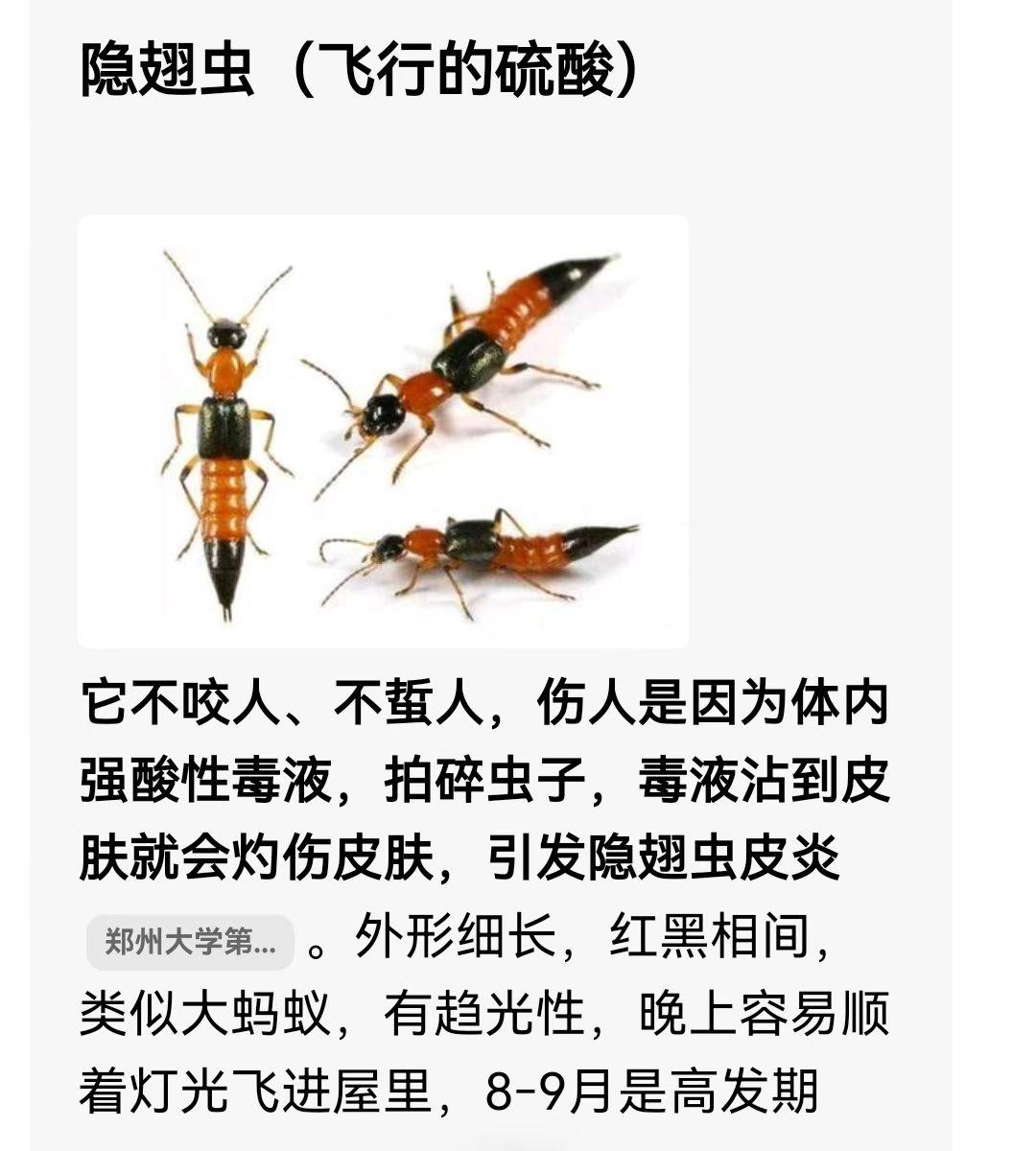 虫子落在身上正确做法：
千万不要拍打、捏碎	，
轻轻吹走，或者用纸、卡片、衣物轻