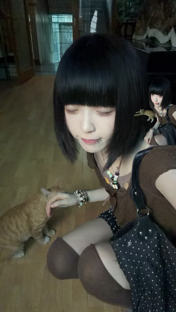 一拍照这只大黄猫就会过来 ​​​