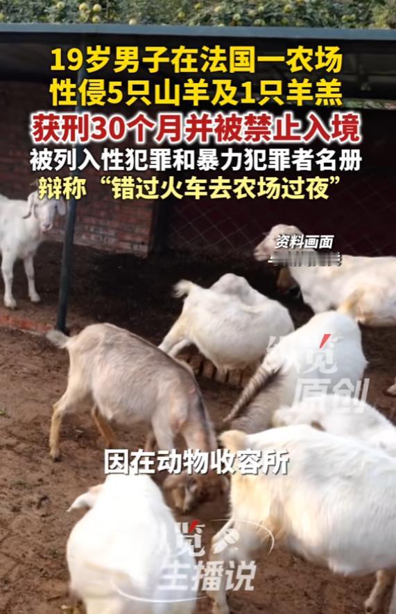 法国，一男子潜入农场，性侵5只山羊和1只半岁幼羔。农场主见动物受伤装了监控，发现