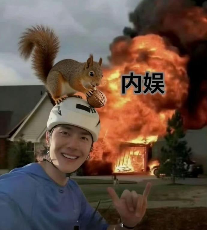 王一博被松鼠敲脑壳 当内娱乱成一锅粥的时候，王一博：我被松鼠偷袭了一下路路酱早晚