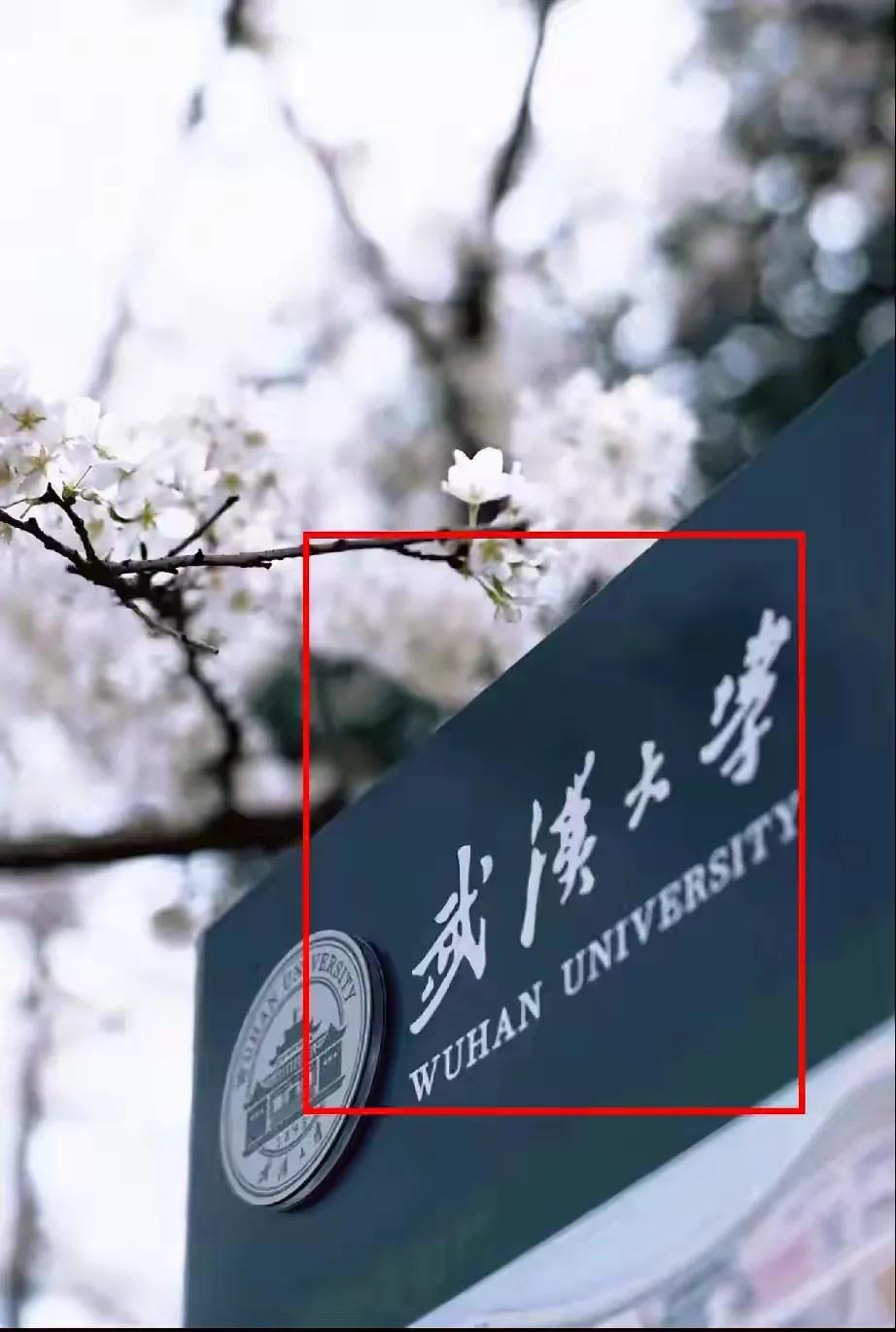 武汉大学图书馆的舆论正在外溢，武大的校友们在忙着切割，比如小米老总雷军，就把母校