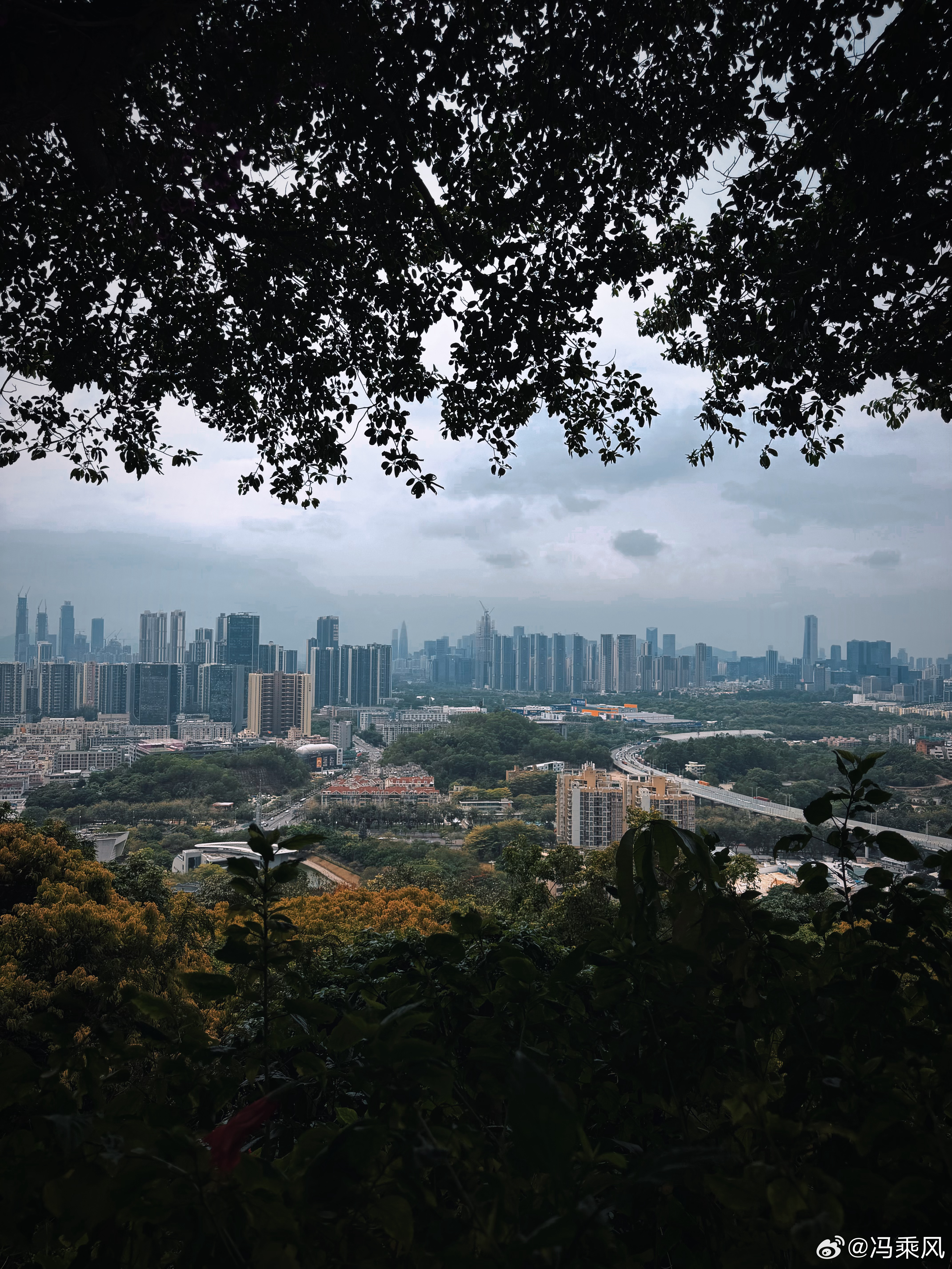 最近能量太弱，进山吸收一下。 深圳·塘朗山郊野公园