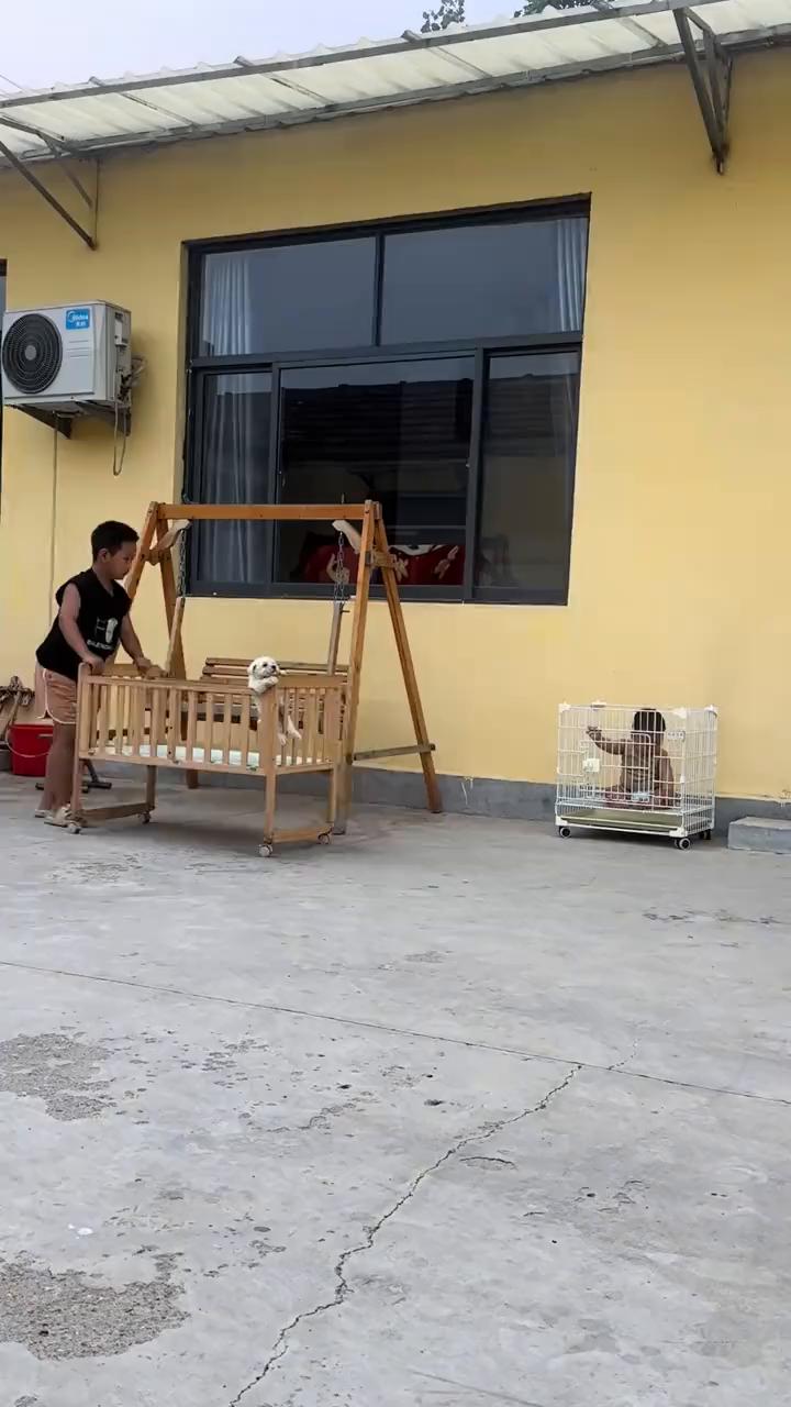嗯，嗯，哈哈哈，哈哈哈哈。