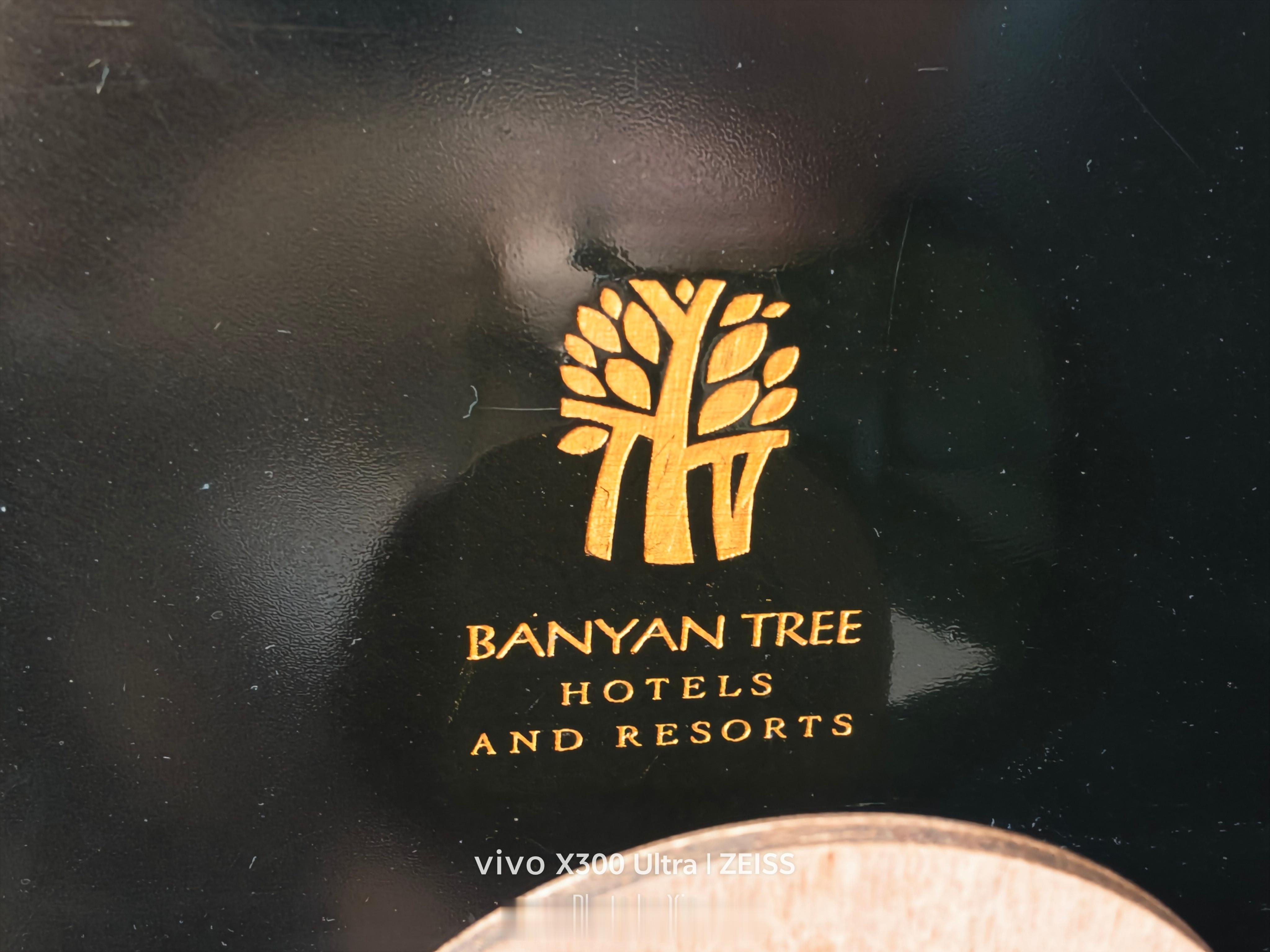哪里都能想到蔚来banyan榕，蔚来二代车机系统，蔚来每一代车机系统都是用树作为