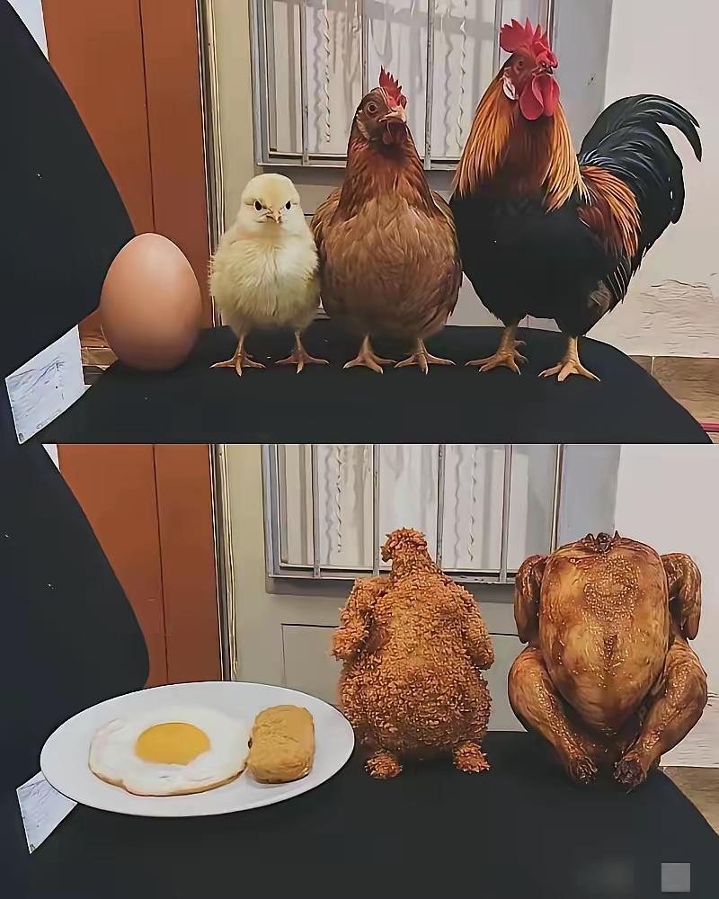 生来就是这个命！