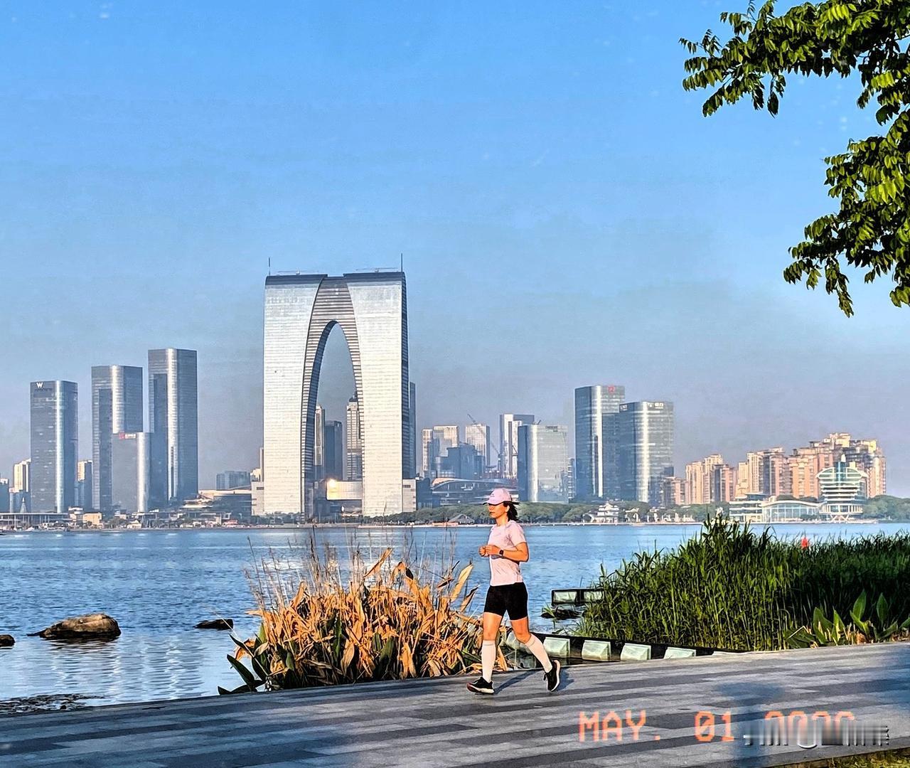 五月一日是我们家人的迁徒日，东西半球同频进行。既有从东京到纽约的，也有从东京到上