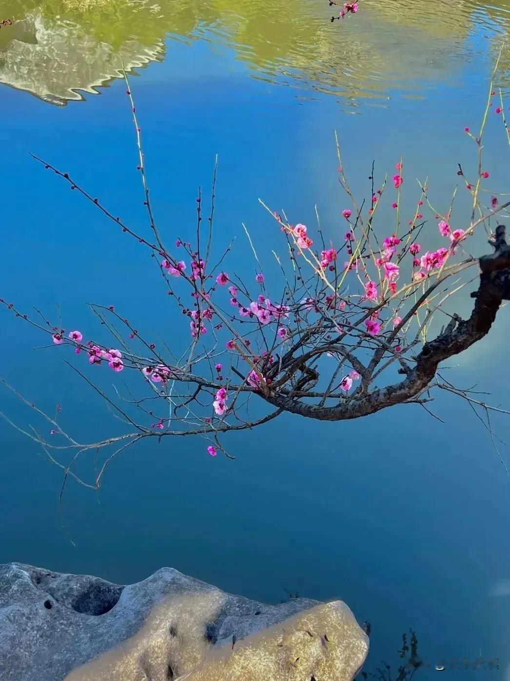 常见容易读错的字词：
1、哪吒（né zhā）
2、敖丙（áo bǐng）
3、