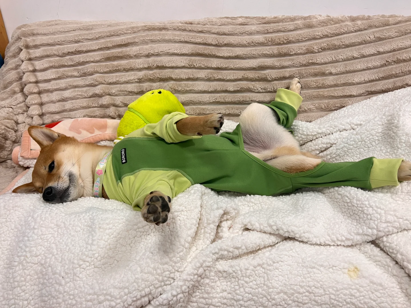 第一次穿四脚衣完全走不动路