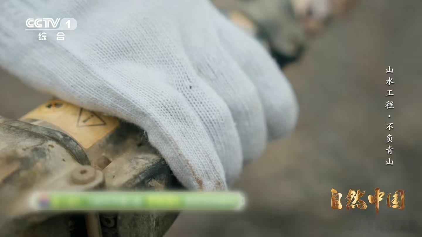 秦岭深处树在天上飞树苗坐无人机空降 山高谷深、林密路险，传统种树方式在秦岭深处困