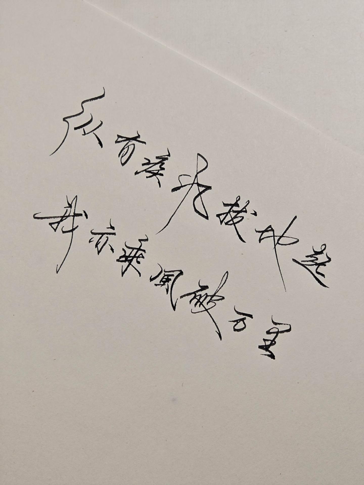 纵有疾风拔地起，我亦乘风破万里。