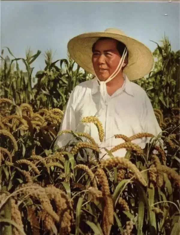 毛主席：“一个人能不能当领导，不在于他能力有多强，而在于他能不能把复杂的问题简单