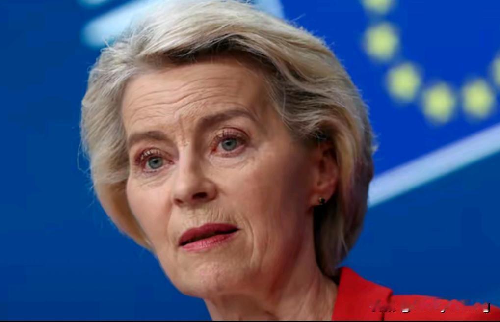 原来只有美国打欧盟国家的脸，现在中国决定不忍了，首次宣布制裁欧盟国家七家军民融合