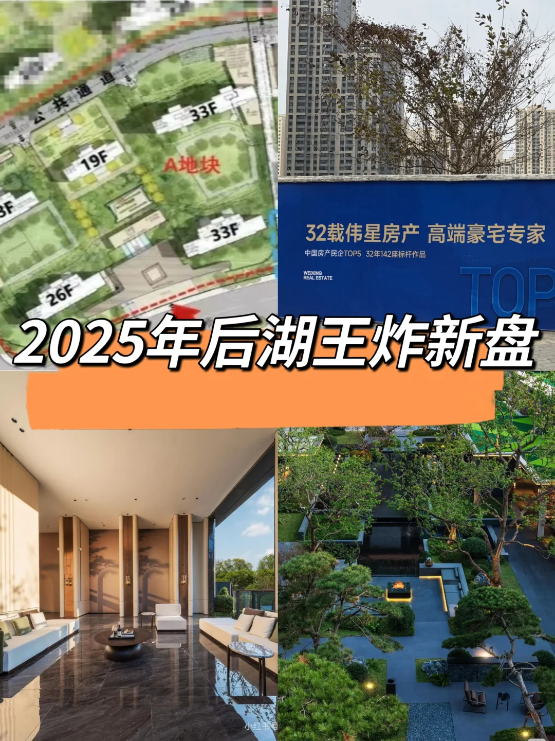 2025年后湖“主角”登场，户型已曝光‼️