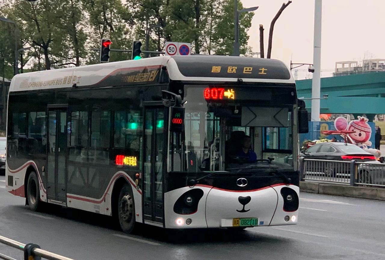 遵义已“撸猫”，贵阳公交何时接住这波可爱暴击？

近日，遵义公交引进成都同款“猫