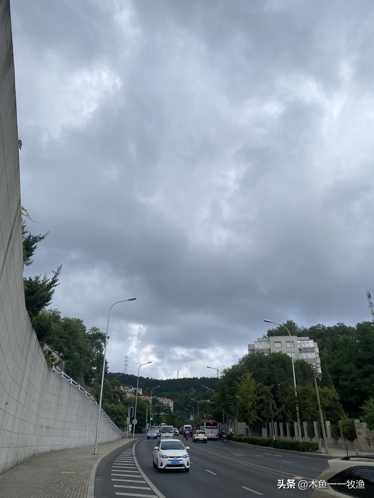 看这天气，是不是应该打炮了。大连西岗动物园附近，已经有一个多月的时间没有下一场透