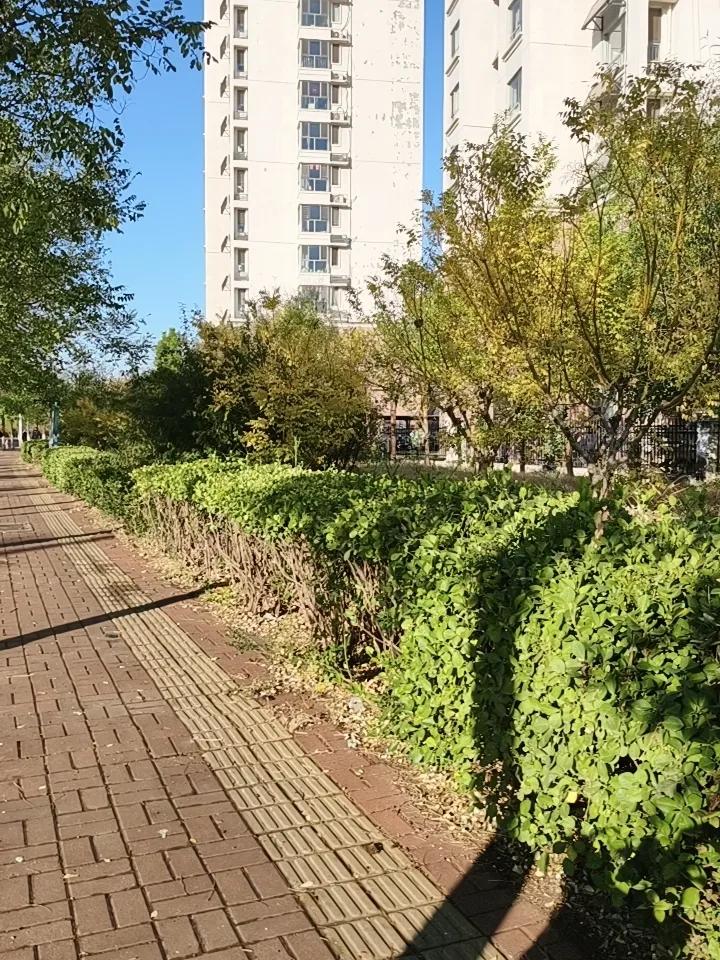 老公因为公婆要跟我离婚。
10.1回家，
因为公婆说:“地是我儿子的跟你有什么关