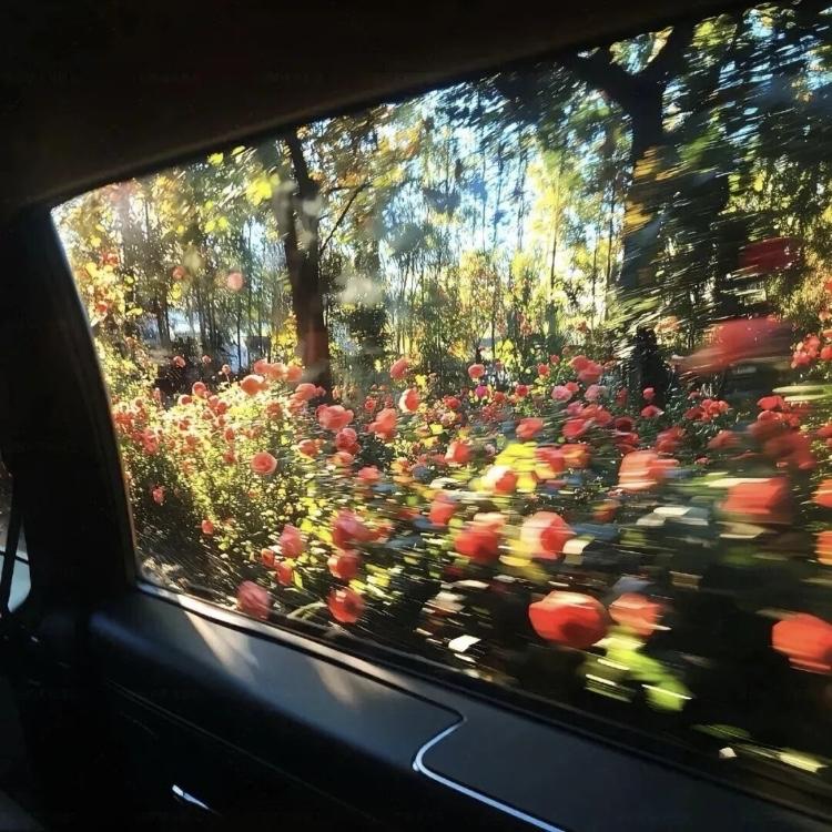 “这个世界回报率最高的，
始终是全力以赴的投资自己。”


“祝你不被万物卡住 