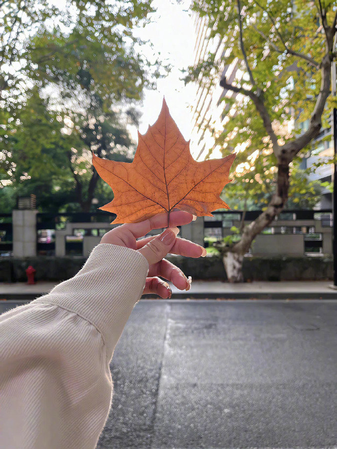 当你什么都经历了，你才发现，人生无论怎么精心策划，都抵不过一场命运的安排，命里有