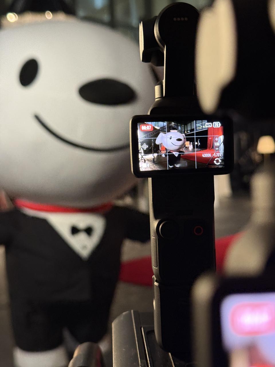 北影节明星后台现状：不卷红毯，卷大疆Pocket 4自拍京东把Pocket 4安