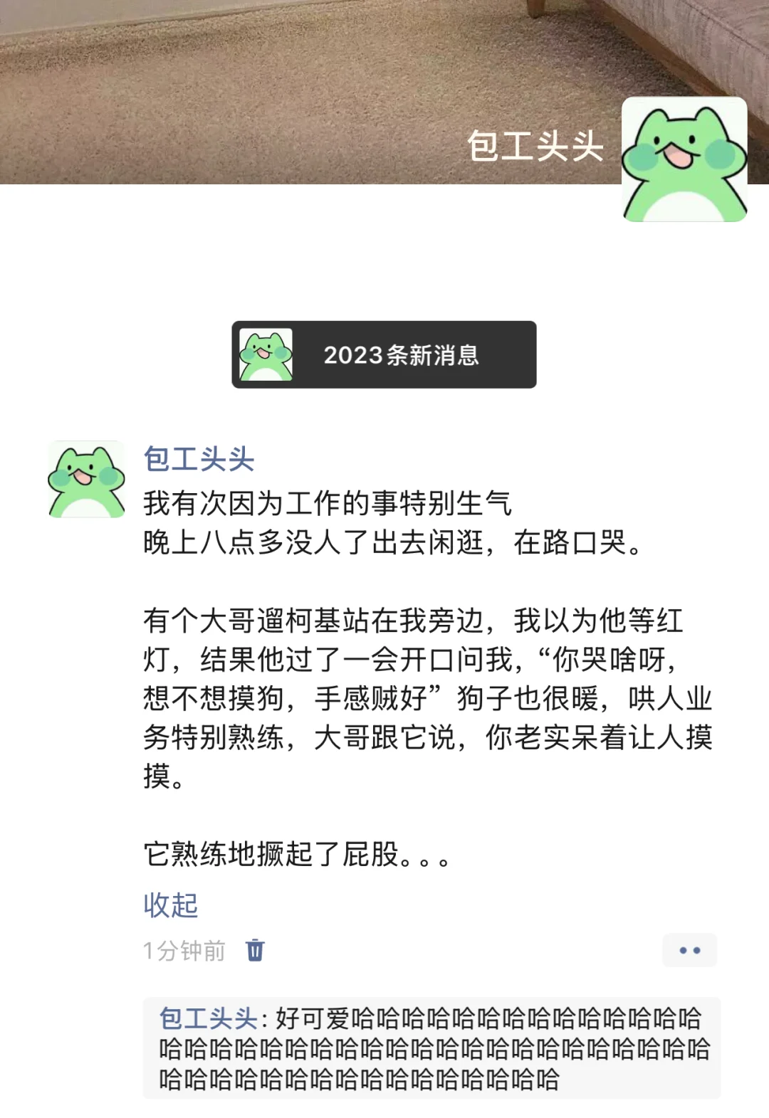 伤心的时候可以去摸柯基屁股