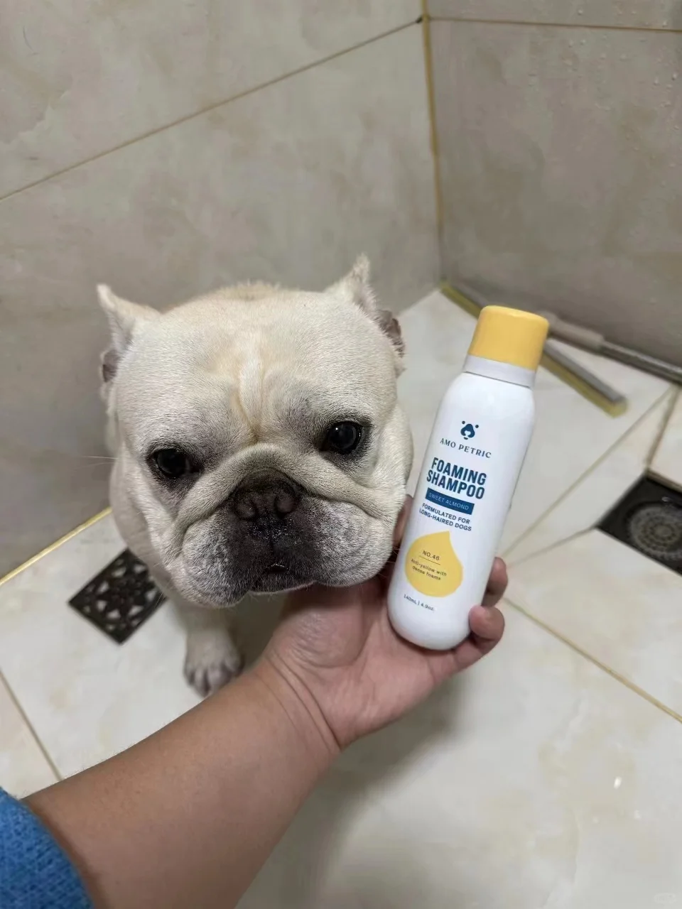 终于让我找到了法斗天选沐浴露！