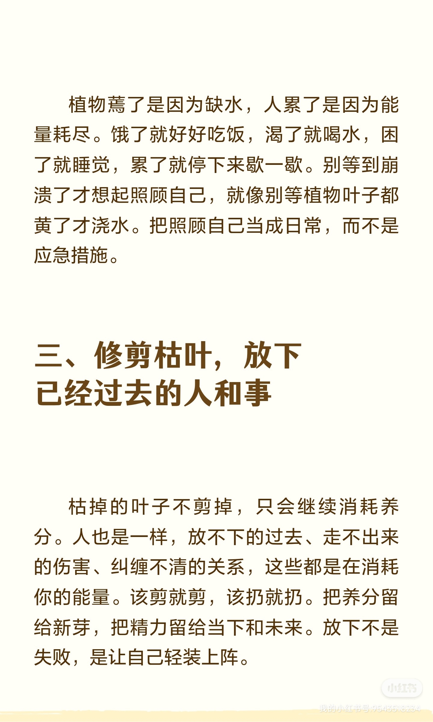 像照顾一株植物一样照顾自己。 