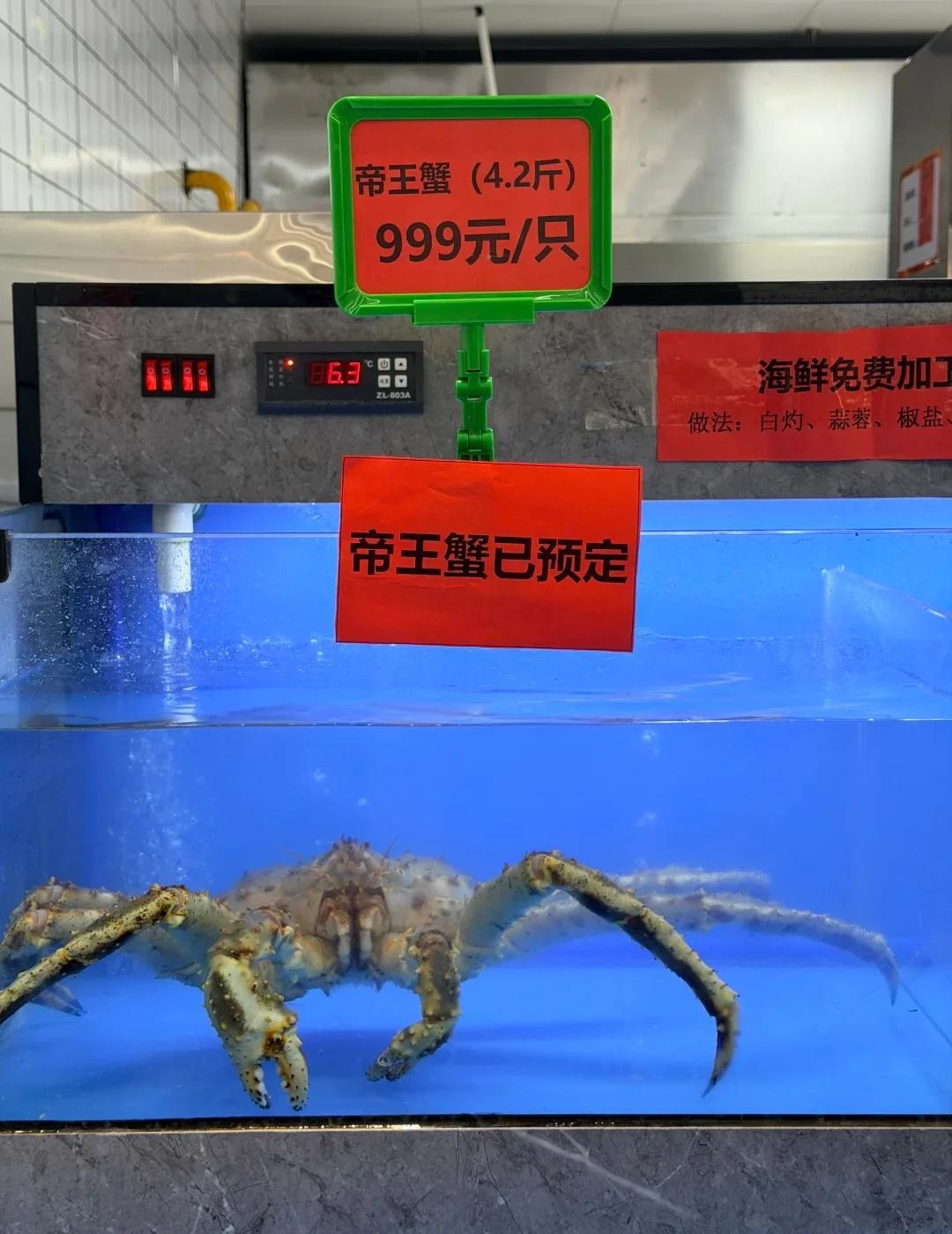 这只帝王蟹有作风问题
南大新开了一个第九食堂。试运营期间，为了提供多元化的餐饮服