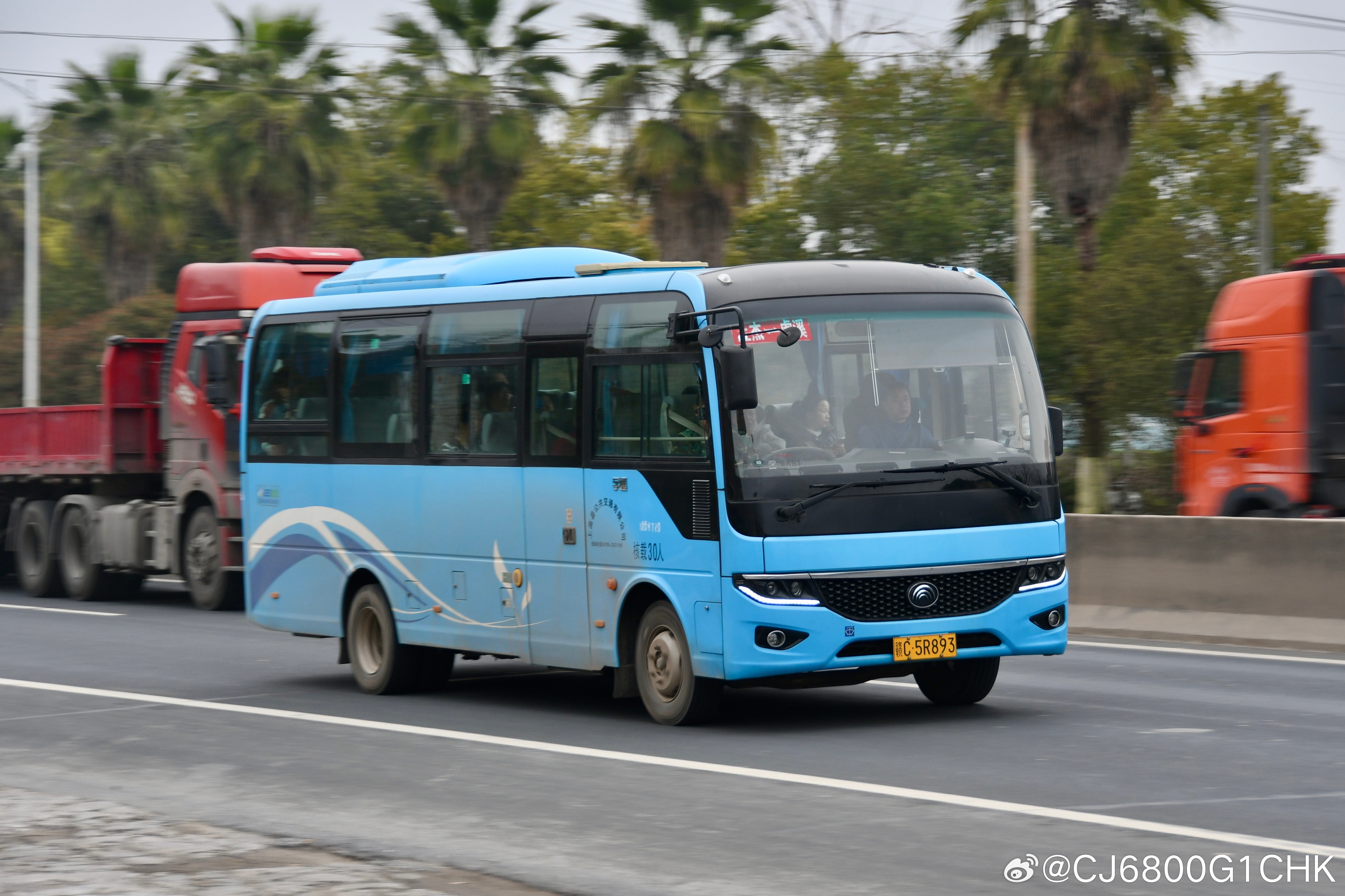 宜春·上高县，补拍中杰鞋厂昨天跑掉的熊猫