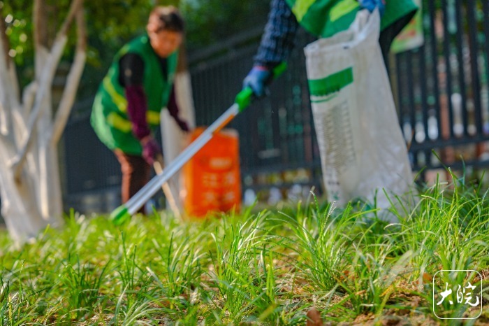 合肥蜀山经开区开展“补绿行动” 裸露空地焕新后绿意盎然