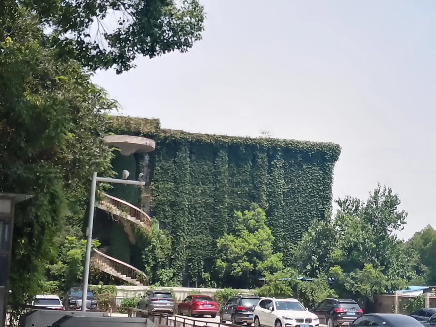 梦回小辰光