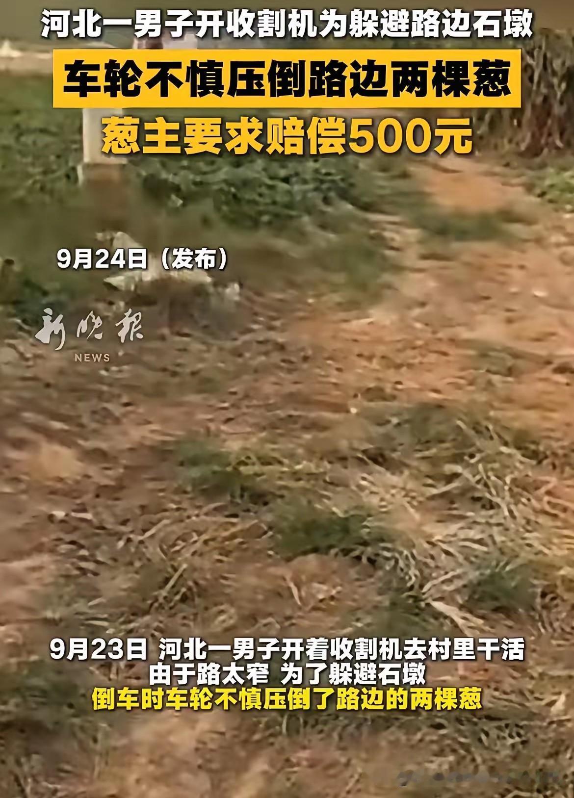 河北邯郸，男子开收割机压到路边的 2 棵葱。葱主人的儿子当场表示没关系，让男子先