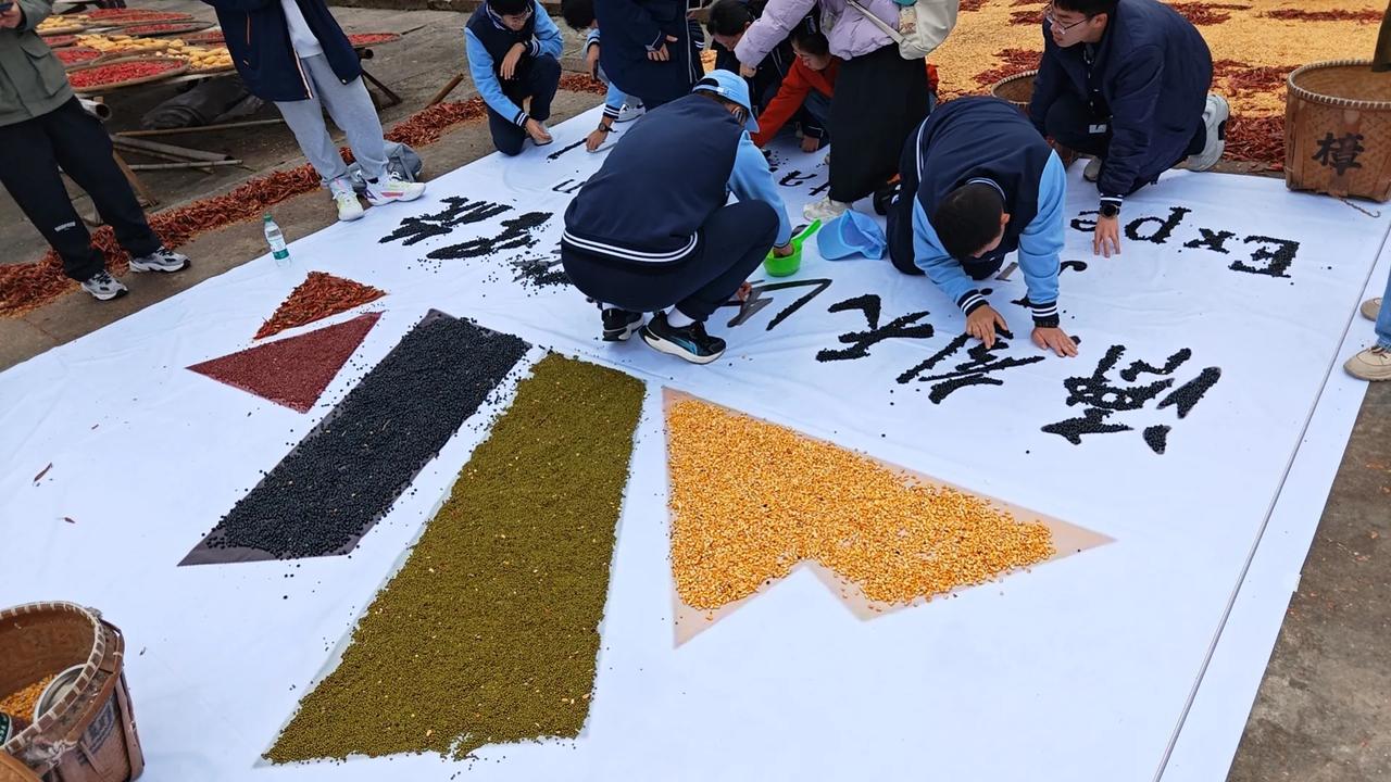 济南天山实验学校 研学安徽行之一 认识丰收的谷物  绘就美好的图象
