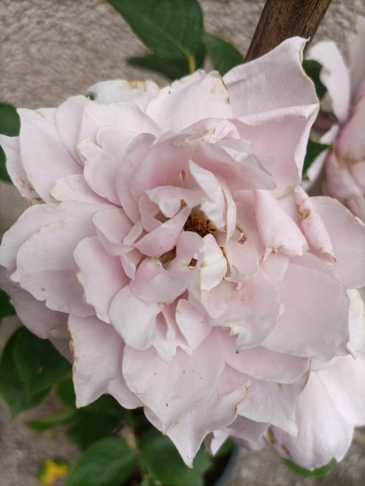 【夏之韵·雨过天晴】带定位晒今日生活

雨过天晴。

真正能治愈我们的，
从来不